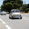 Montevago 2010 (420)